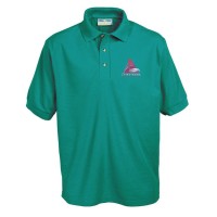 Tyn Y Wern School Polo Shirt